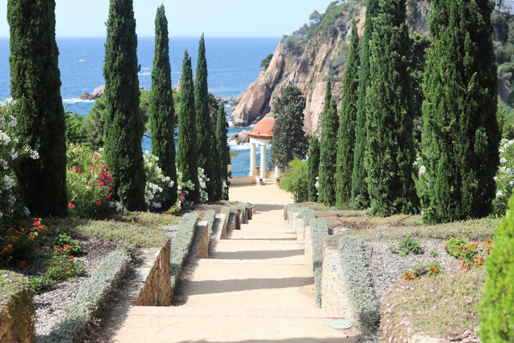 https://anaphotobarcelona.com/marriage-proposal-barcelona/ Proposal at Botanical Garden Marimurtra