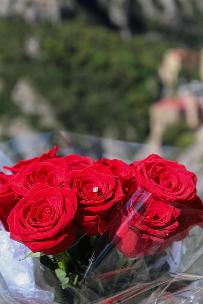 Montserrat Proposal